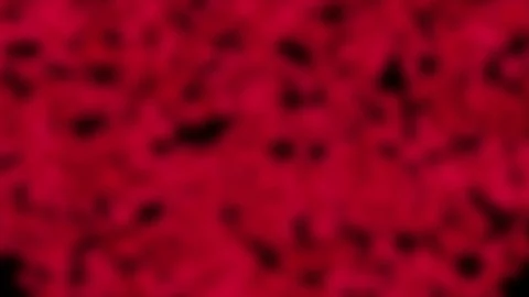 Ruby red heart from small polygonal shapes motion design Video stock 71335099