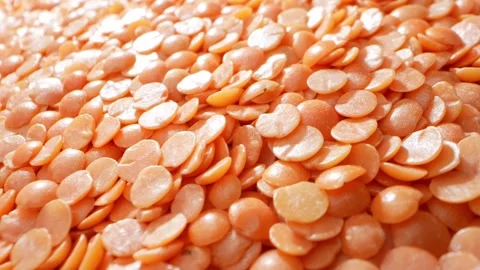 Ruby-red lentils: lens-shaped legumes admired for their earthy flavor. Video stock 248414475