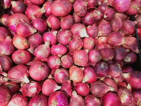 Ruby Red Onions - A Vibrant Harvest from Southern Thailand Stock Photos
