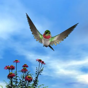 Ruby-throated hummingbird - 3D render Stock Illustration