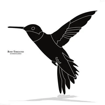 Ruby-Throated Hummingbird: Graceful Black Vector Illustration of Bird Ilustración de archivo