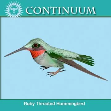 Ruby Throated Hummingbird RigStance 3D Model