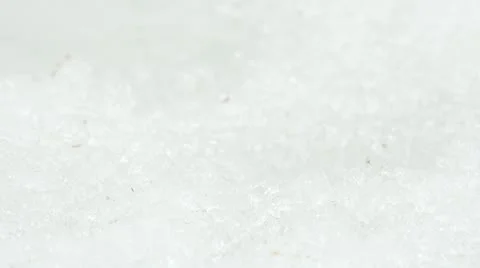 Ruby Tiger Moth caterpillar on snow Stock Footage 11061060