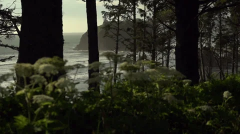 RubyBeach, washington coast Stockbeeldmateriaal 37903075