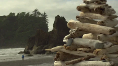 RubyBeach, washington state Video stock 37903083