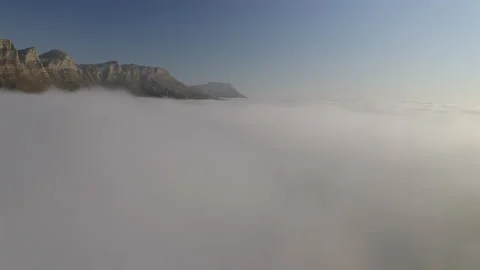 Rubyoung Stock Stock Footage 154113898