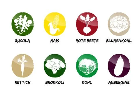 Ruccola corn beetroot cauliflower radish broccoli cabbage eggplant Stock Illustration