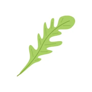 Ruccola icon flat vector. Arugula salad Illustrazione stock
