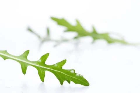 Ruccola Stock Photos