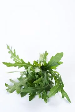 Ruccola Stock Photos