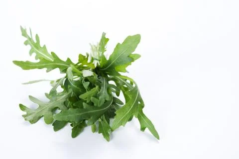 Ruccola Stock Photos