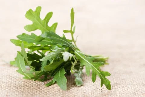 Ruccola Stock Photos