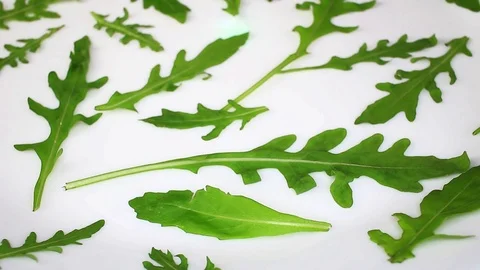 Ruccola ruccolas on rotating plate seamless looping hd background cover video Stock Footage 107614562