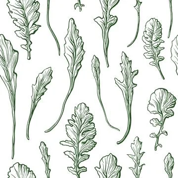 Rucola leaf texture seamless pattern Nature print Illustrazione stock