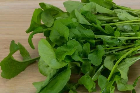 Rucola leaves Stock Photos