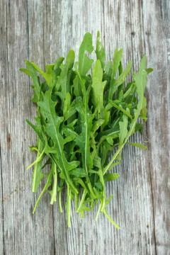 Rucola Stock Photos