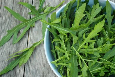 Rucola Stock Photos