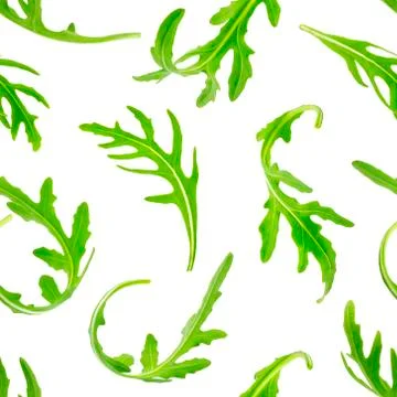 Rucola seamless pattern. Isolated on white background Foto stock