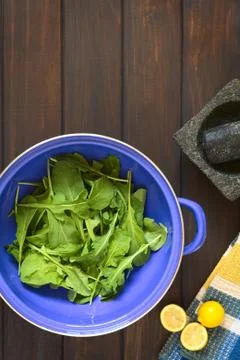 Rucola in Strainer Stock Photos