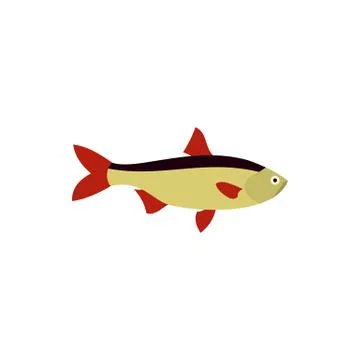 Rudd fish icon in flat style イラスト素材