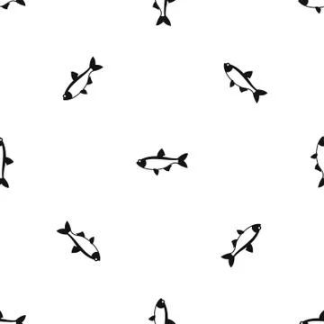 Rudd fish pattern seamless black Stock Illustration