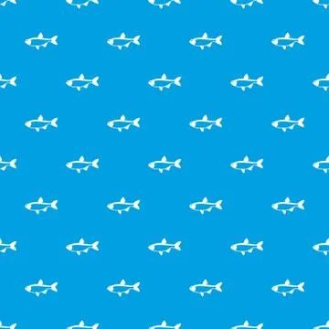 Rudd fish pattern seamless blue Illustrazione stock