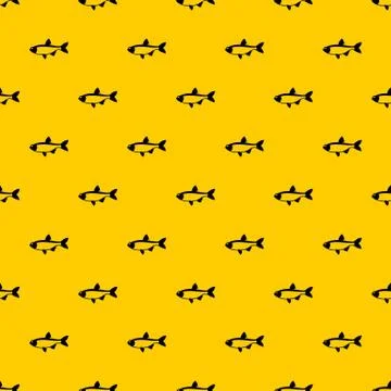 Rudd fish pattern vector Stock Illustration
