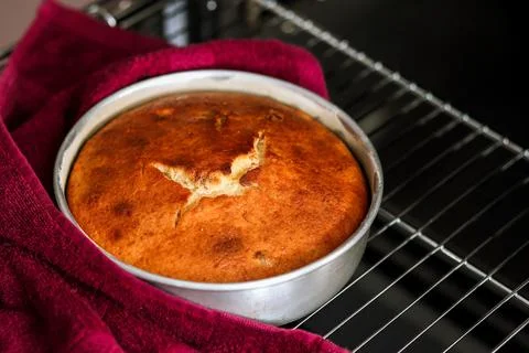 A ruddy cooked pie in a baking container stands on the grill of the oven Stock Photos
