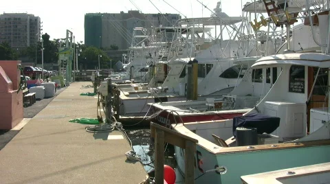 Rudee marina Stock Footage 457584