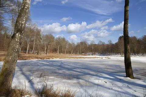 Rudeskov forest in Denmark Stock Photos