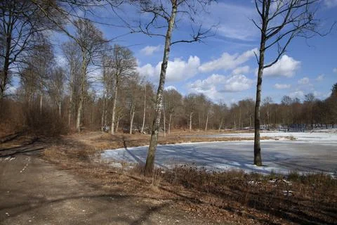 Rudeskov forest in Denmark Foto stock