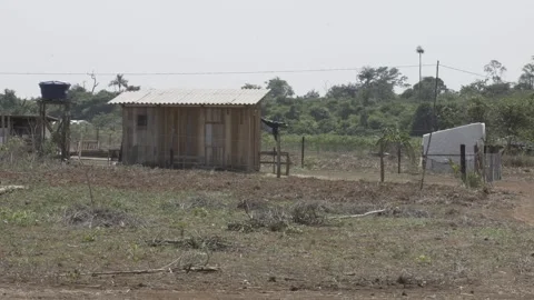 Rudimentary constructions at Alvorecer Settlement, rural area of Sorriso Stock Footage 315470892