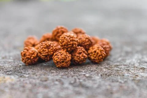 Rudraksh Beads Stock Photos