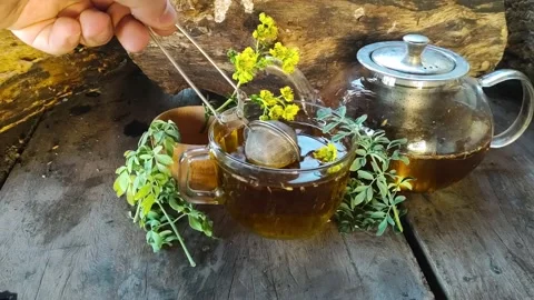 Rue tea 스톡 동영상 165856623