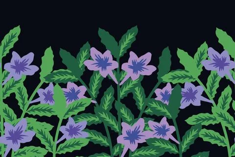 Ruellia vector background Illustrazione stock