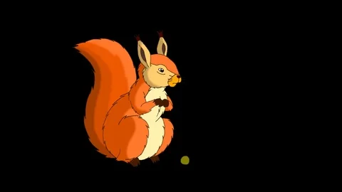 Rufous Squirrel Sitting and Eating Nuts. Alpha Stock Footage 79610129