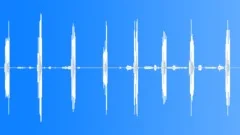 RufousCollared Sparrow Song Sound Effect