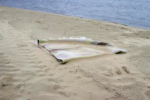 Rug in the sand on the beach. Foto stock