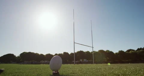 Rugby player training on the field Stock Footage 130755863