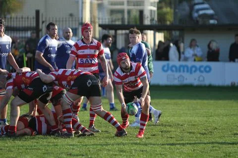 Rugby Union: Paignton 1st XV vs Kingsbridge matchday photos (12/11/22) Stock Photos