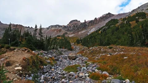 Rugged Alpine Landscape on the Glacier Basin Trail in Mount Rainier National Par Stock Footage 332144537