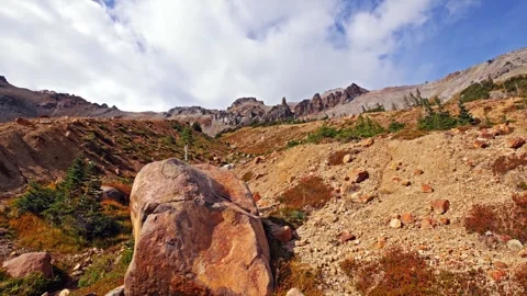 Rugged Alpine Landscape of Glacier Basin Trail in Mount Rainier National Park Video stock 332144682