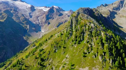 Rugged alpine mountainside with green pines and rocky peaks under clear blue sky Stock Footage 343696057