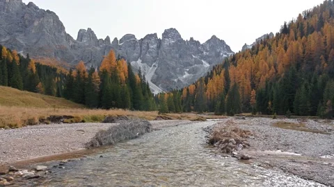 Rugged alpine valley and rolling meadow Val Venegia Stock Footage 167021637