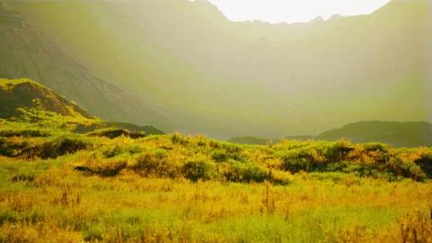 Rugged arid mountain landscape with sparse vegetation and many rocks Illustrazione stock