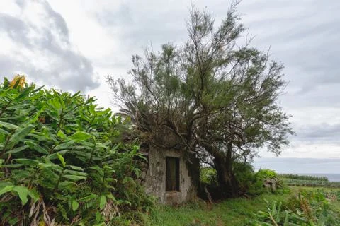 Rugged Azores Structure Stock Photos