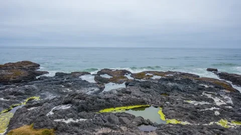 Rugged basalt rock coastline at low tide in Cook's Chasm, Cape Perpetua Scenic A Stock Footage 326714157