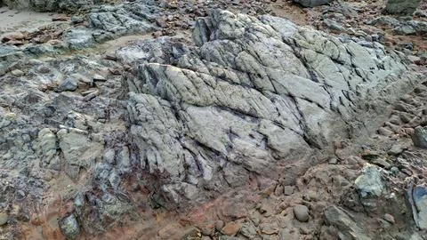 Rugged Beach Rock Texture Close Up Background 库存照片