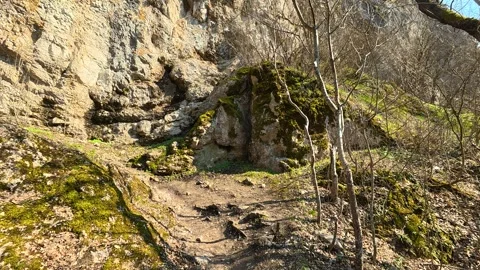 Rugged cliff face with moss and bare branches. Mount Ozren Видео 330957920