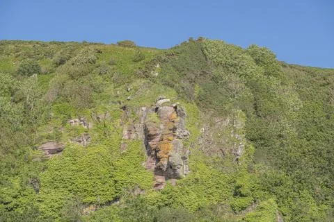 Rugged cliff face rises through thick green foliage Stock Photos